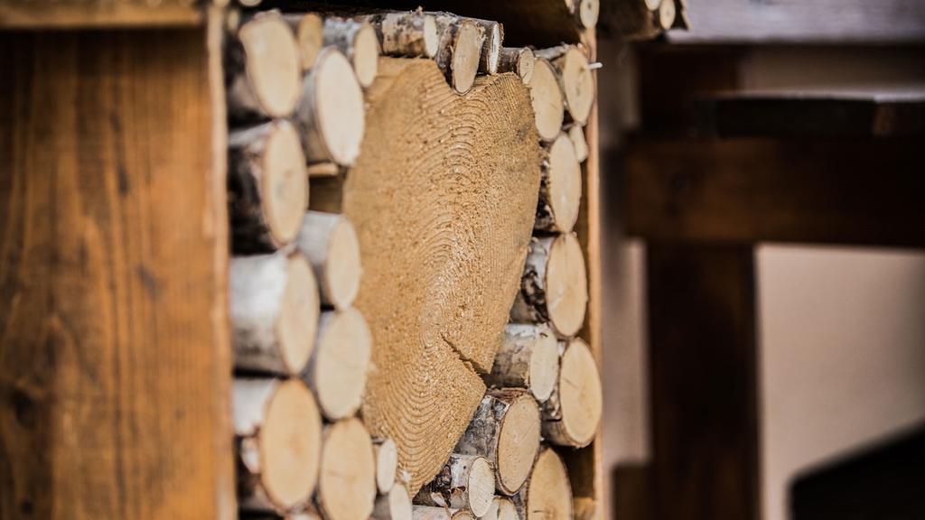 Haus Waltraud Apartment Neustift im Stubaital Luaran gambar